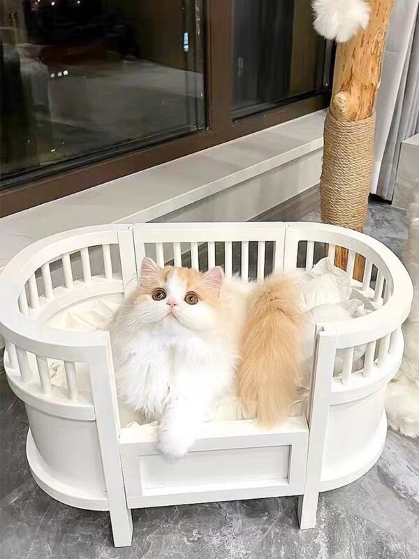 Whisker's Dreamland Bed