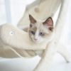 Sunny Siesta Cat Hammock