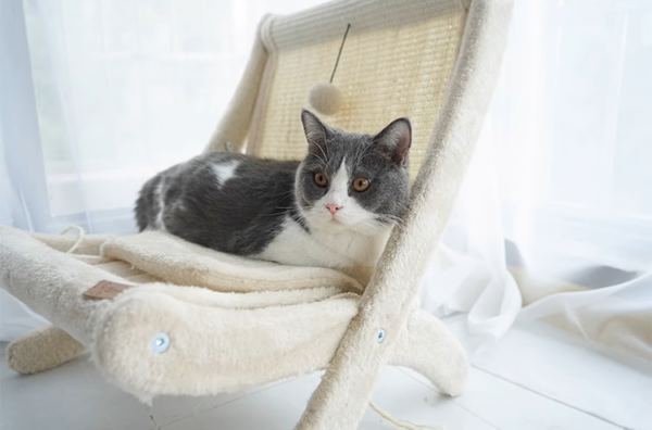 Sunny Siesta Cat Hammock
