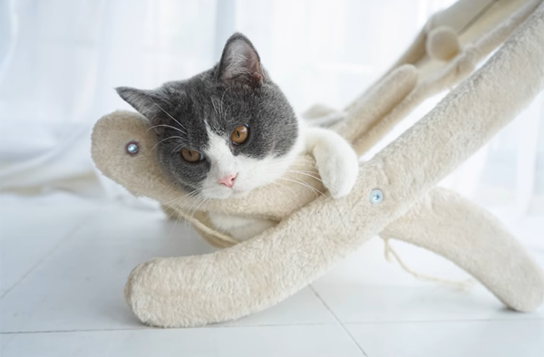 Sunny Siesta Cat Hammock