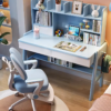 Junior Scholar Study Desk Set
