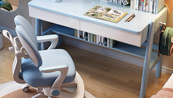 Junior Scholar Study Desk Set