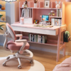 Junior Scholar Study Desk Set